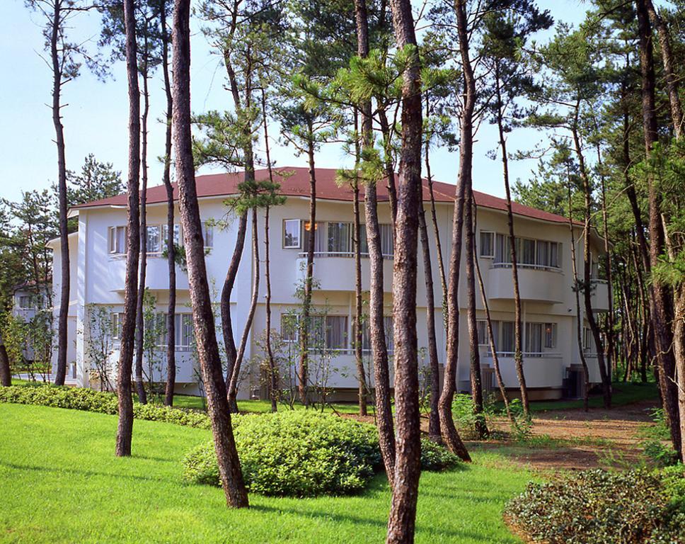Cottage Himuka Miyazaki Ruang foto